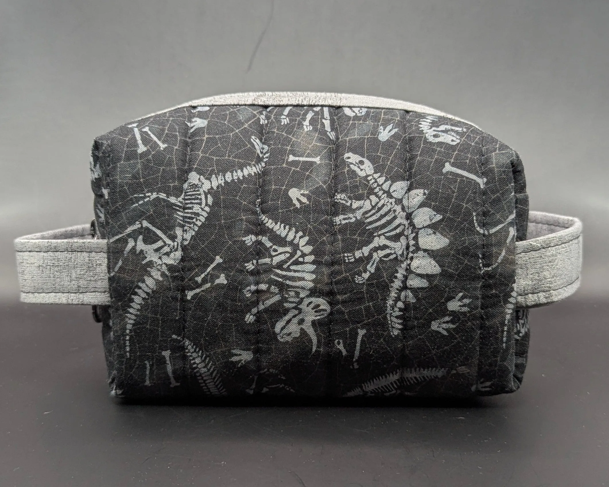 Dino Bones Boxy Bag