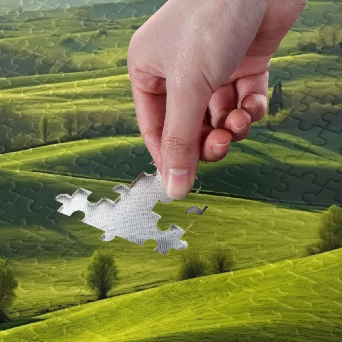 Grassland Jigsaw Puzzles Challenge Games,Home Decoration,Hand Made Puzzles Personalized for Children and Adults Entertainment,1000 Pieces
